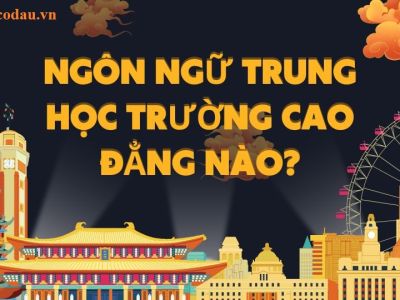 Ngôn ngữ Trung học trường cao đẳng nào?