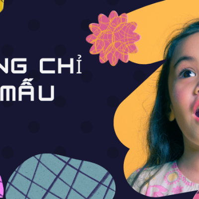 Chứng chỉ bảo mẫu TPHCM