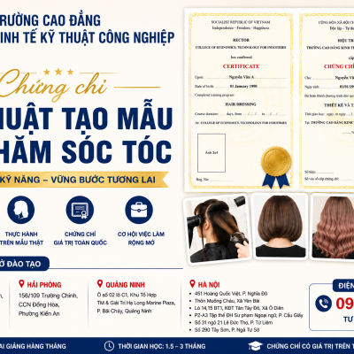 Chứng chỉ kỹ thuật tạo mẫu và chăm sóc tóc