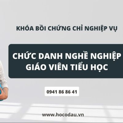 Chức danh nghề nghiệp giáo viên tiểu học