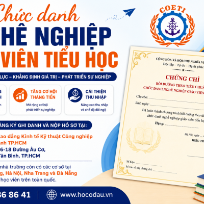 Chức danh nghề nghiệp giáo viên tiểu học